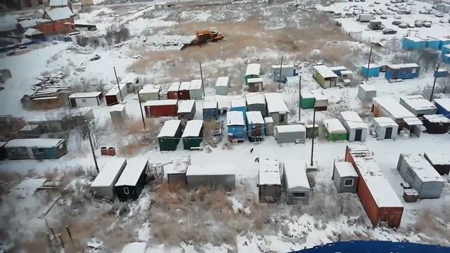 Жизнь собачьей стаи - перемены грядут? - 2018-11-29 - 9.00 смотреть онлайн