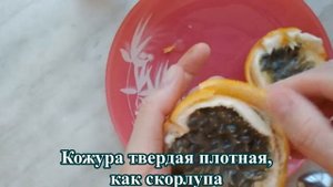 Как есть гранадиллу (экзотический фрукт)