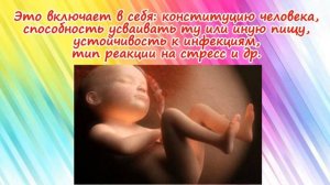 Развитие плода на 27 неделе беременности/ Календарь беременности!