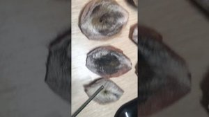 Струя Кабарги. Проверка на  качество!.