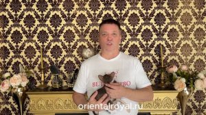 Порода Петерболд