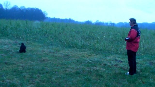 java such смотреть онлайн