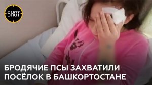 Собаки нападают на детей в посёлке Башкортостана