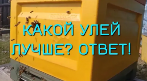 КАКОЙ УЛЕЙ ЛУЧШЕ? ВЫБОР ТИПА УЛЬЯ ЛИЧНЫЙ ОПЫТ Улей МЕДВЕДЬ на пасеке МЕДВЕДЬ