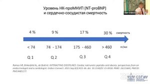 Наследие Д.М. Успенского: сердце как эндокринный орган