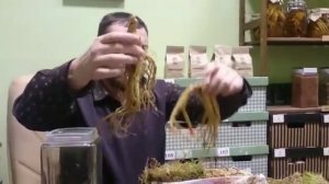 Как выглядит корень женьшеня