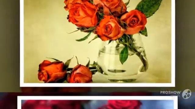 Интернет-магазин доставки цветов AMF -лучший сервис заказа цветов с доставкой смотреть онлайн