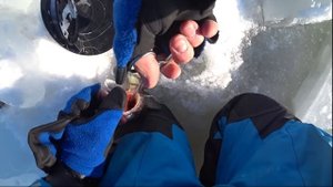 ЭКСПЕРИМЕНТ! ЖЕРЛИЦЫ на СУДАКА против ВИБОВ. Зимняя рыбалка. Рыбалка зимой. Ловля судака.