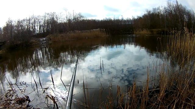 Природа и как я в ней живу !!! Первая рыбалка ... Я даволин. Отвел душу смотреть онлайн