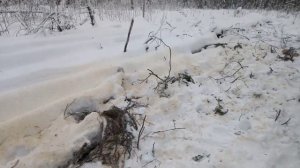 Еду за дровами на МтЗ-82.1. "Первый блин комом"