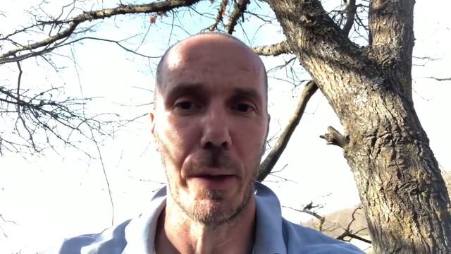 Армия ПРОТИВ ПОРОШЕНКО Диаспора ЗА СТРАННОСТИ ГОЛОСОВАНИЯ смотреть онлайн