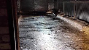 Билинзы в птф Калина ближний/дальний