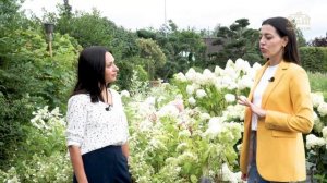 ЛАНДШАФТНЫЙ ДИЗАЙН участка 10 соток. Топ-5 ошибок