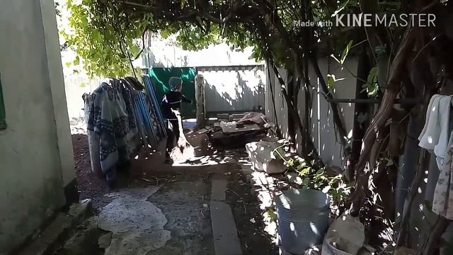 ВЛОГ: будни многодетной семьи 💁 смотреть онлайн