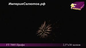 FT 7005 Профи (2,5"х30 залпов) www.isalutov.ru тел.: (423) 292-43-53