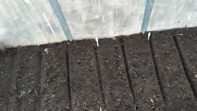 Посев в теплице. смотреть онлайн