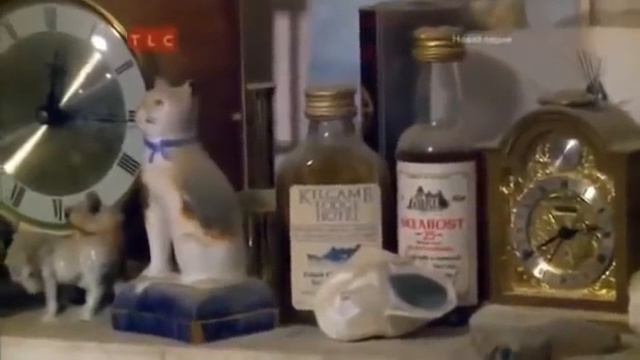 Спасение особняков выпуск 1. Помешанные на чистоте.