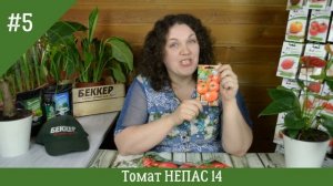 Непасынкующиеся томаты! Обзор лучших сортов для теплиц и открытого грунта