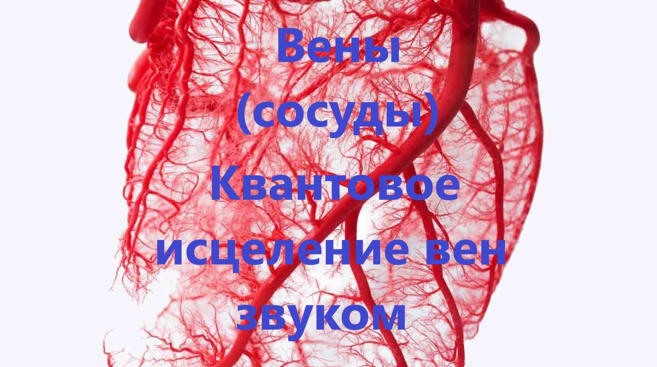 Вены (сосуды) Квантовое исцеление вен звуком.Лечебные частоты д-ра Шмидта.