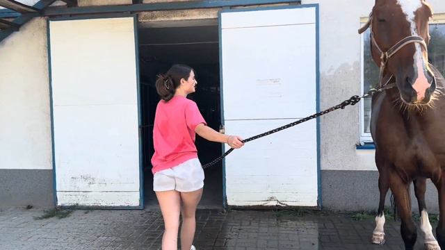 KOŃSKIE SPA🧖🏼♀️ MÓJ KOŃ ZE MNĄ NIE WSPÓŁPRACUJE🤦🏽♀️ смотреть онлайн