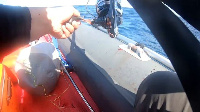 Ловля голубого тунца (bluefin tuna) в Татарском проливе! смотреть онлайн