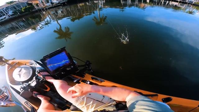 I'm Back! Kayak Fishing For BIG Fish. смотреть онлайн