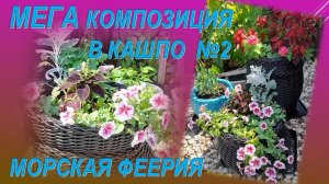МЕГА-композиция "Морская феерия" в кашпо