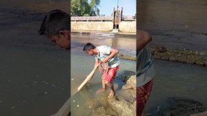 Amazing Village Fishing Video - Traditional Fishing Videoi - Best Net Fishing Video (21)