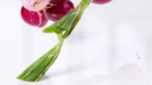 Шинкова "Мандолина Турбо"