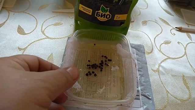 Герань многолетняя семена из Китая. смотреть онлайн