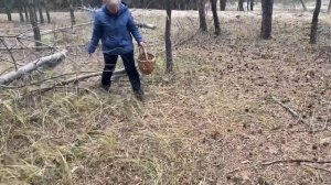 Журавлевы по ? грибы!Щурово 28 октября 2021