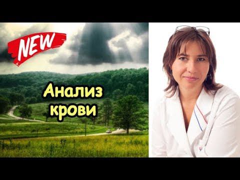 Что значит мой анализ крови