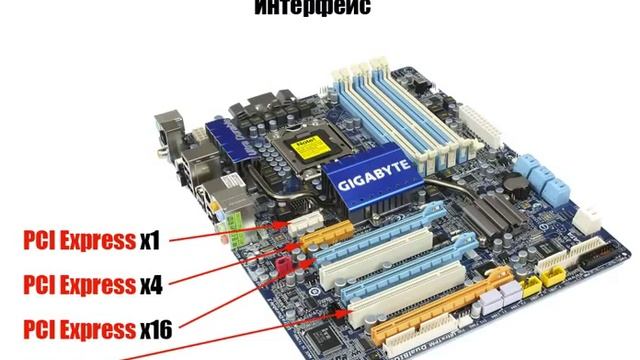 Компоненты системного блока Карты расширения смотреть онлайн