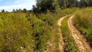 Тарзанка над водой