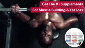Christmas Holiday Supplements For Bodybuilder