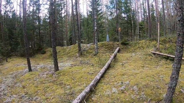 НЕОБЫЧНЫЕ НАХОДКИ В ЛЕСУ.КОП МЕТАЛЛОЛОМА.