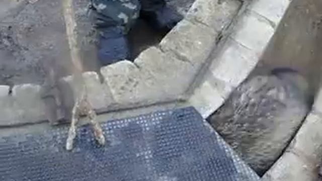 PC040017 смотреть онлайн