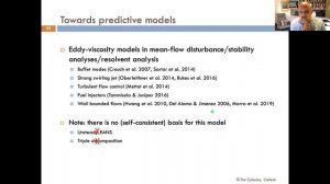 AFMS Webinar 2020 #26 - Professor Tim Colonius (Caltech)