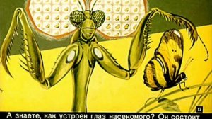 У природы взаймы. Бионика