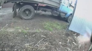 Органическое земледелие. Прошлогодний перепревший навоз КРС как удобрение в саду и огороде