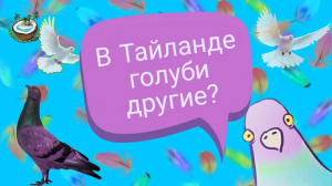 ?Голубь такого не ожидал?