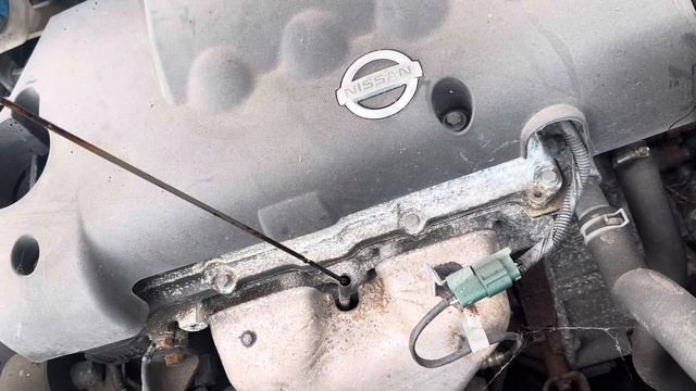 Разборка Nissan - Primera P12 2002-2007, 1.8 (VIN: SJNFBAP12U2289187) FY56CHC смотреть онлайн