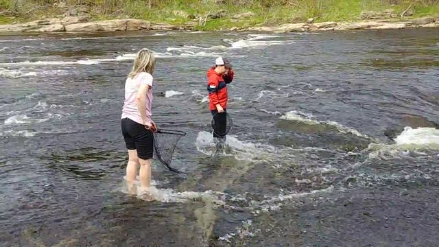 Селёдка 2018(1) смотреть онлайн