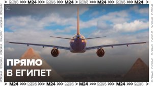 Вылеты в Египет и ОАЭ из Москвы возобновили - Москва 24