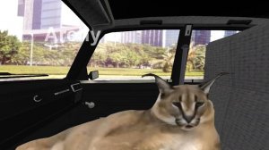 ШЛЁПА И МОРШУ ЕДУТ ДОМОЙ