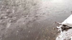 Лососевая рыбалка, ловим лососей на реплики (воблера)!