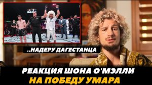 «Побью этого дагестанца!» Реакция Шона О Мэлли на бой Умар Нурмагомедов - Сэндхаген | FightSpaceMMA