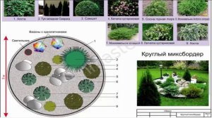 Круглый миксбордер Схема клумбы
