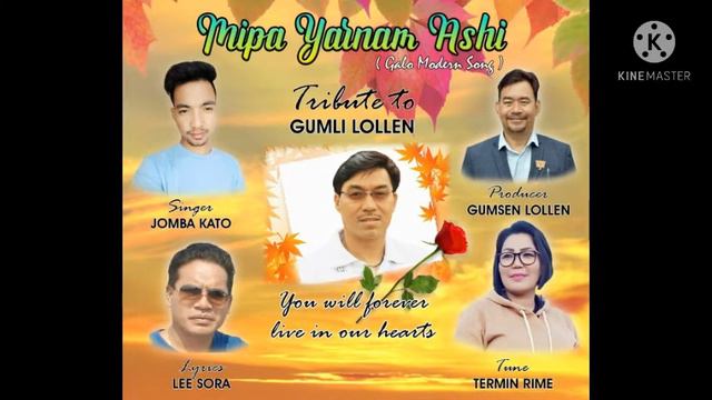 Mipa yarnam ashi tribute to gumli lollen by jomba kato смотреть онлайн
