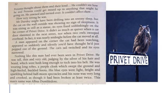 Year 3 Story Harry Potter and the Philosopher's Stone Chapter 1 смотреть онлайн